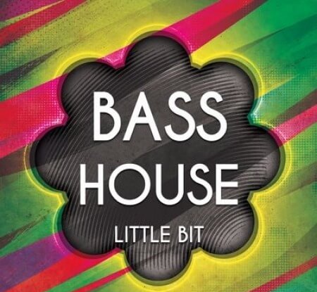 Little Bit Bass House 1 WAV